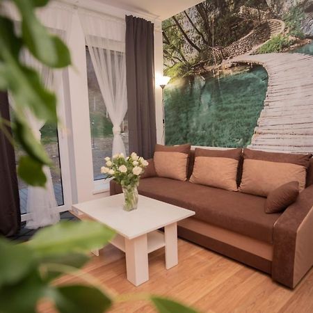 Apartamenty Goszowita Stronie Śląskie المظهر الخارجي الصورة