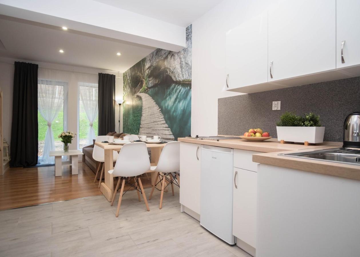Apartamenty Goszowita Stronie Śląskie المظهر الخارجي الصورة
