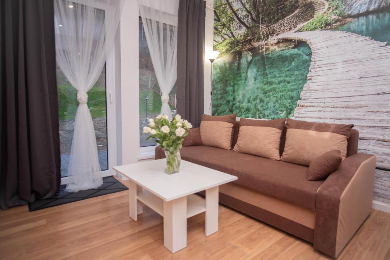 Apartamenty Goszowita Stronie Śląskie المظهر الخارجي الصورة